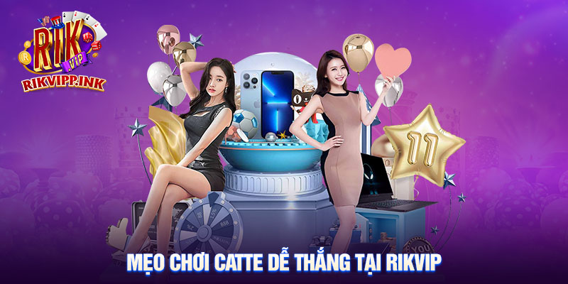 5 bí kíp vàng giúp thắng nhanh khi chơi Catte